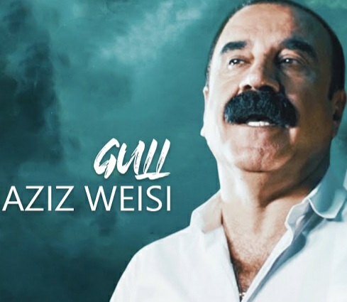 عزیز ویسی گول